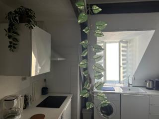 Urban Jungle T2 Pau tout à pied - Pau - 7