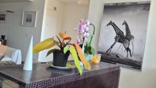 Sunny Terrace Oasis with Mont Blanc View in Central Geneva - 5