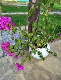 El Encanto de las Aguas - 9