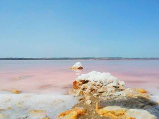 Nice 2 bedroom apartment in Torrevieja - 7