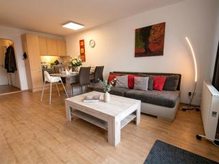 Gemütliches Familienapartment im Bayrischen Wald POOL NETFLIX - 8