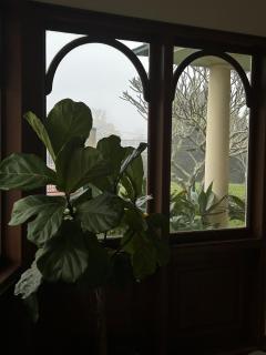 Melville House Bed and Breakfast - 8