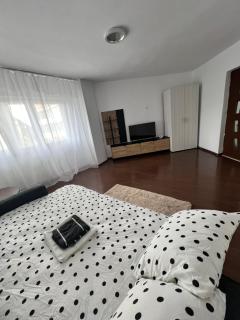 Andreea apartament - 7