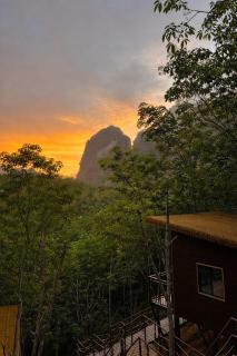 Khao Sok Jungle Roots Resort - 3