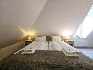 Apartment Zschachwitz in Dresden - ruhige Lage, modern, gute Anbindung! - 1