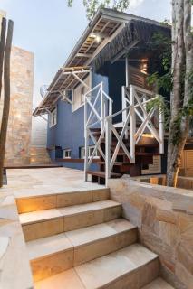 primeira vista pipa - 7