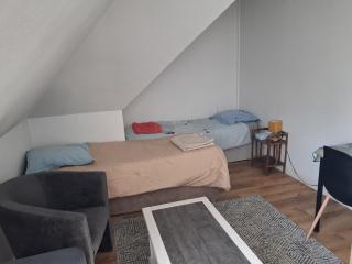 Chambre dans le vieux quartier de Laval - 1