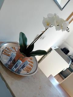 Stellas Monteurwohnungen - 3