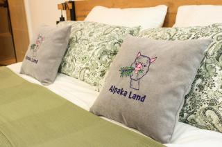 Apartma Alpaka Land - 1