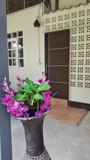 Ban Sabai, Chiang Mai - 7