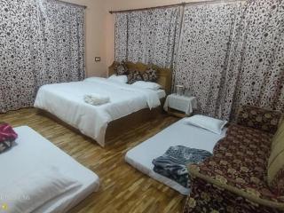 The Vintage Kashmir Homestay - 1