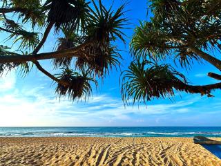 water lily heaven - 2