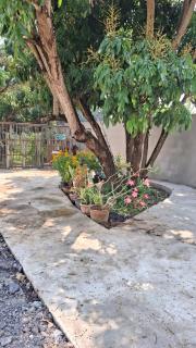 Ban Sabai, Chiang Mai - 9