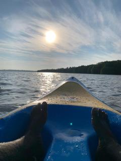 water lily heaven - 4