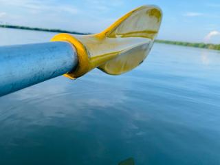 water lily heaven - 7