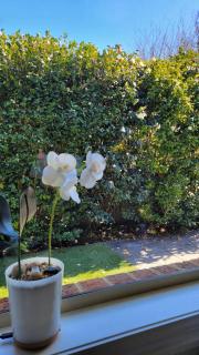 Quiet & Spacious Family-friendly 3BR 2Bath Home - 4