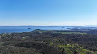 Silent Lake View - 3