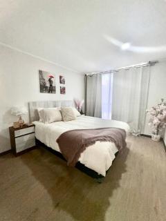 Paris en Santiago, un departamento de lujo - 9