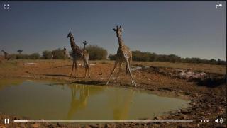 Bwanarenman Camp Site - 3