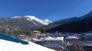 Himalayan bite pulga - 5