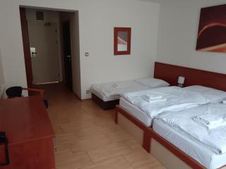 Penzión Mlynárka Dudince - 8