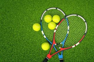 7 BR Golf Tennis SPA Lake Resort Villa - 7