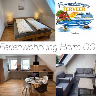 Ferienwohnung Harm 2, Papenburg, mit Wallbox - 0