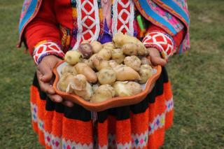 Patacancha indigenous lodge Perú - 4