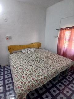 BeeCare Life Syntropic Farm - Nature-inspired sanctuary - 9