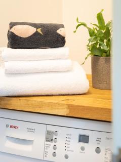 Modern Flat on the seafront Exmouth - 1