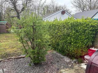 Riverchapel Guesthouse - 8