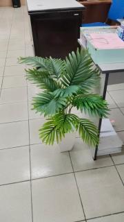 Homestay D-Akinabalu Kinarut - 8