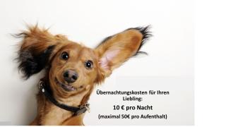 Frisch saniertes Apartment am Falderapark - 8