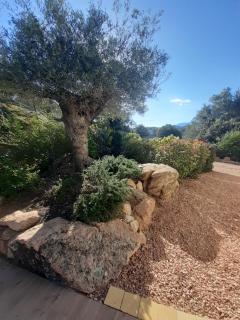 villa alba - 7