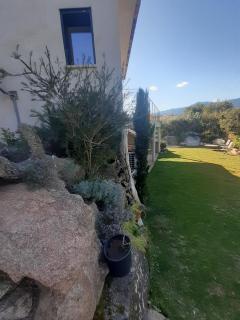 villa alba - 8