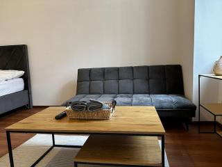 Schönbrunn at Your Doorstep I Accommodates 4 Guests - 8