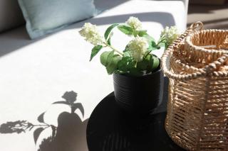 Suel Suites Afitos - 7