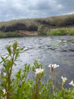 Golden Circle Panorama Chalet - 7