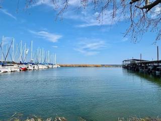 Beautiful Lakeview 2BR Condo -Modern & Cozy with Pool - 4