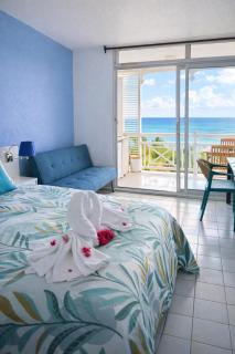 Studio Azur Vue mer & Rocher du Diamant - 0