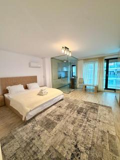 Comfort Elegance in Bucharest Center - 0