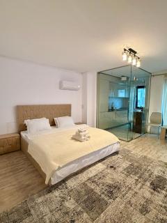 Comfort Elegance in Bucharest Center - 3