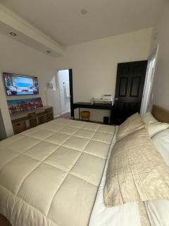 Charming Private 1-Bedroom Suite with Parking in Miami - 3