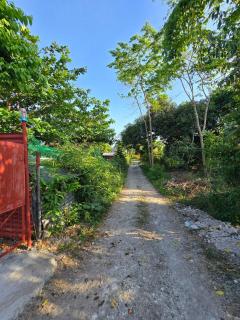 Wanderio Homestay in Moalboal - 8