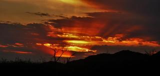 Grace of Africa Boutique Safari Lodge - 7