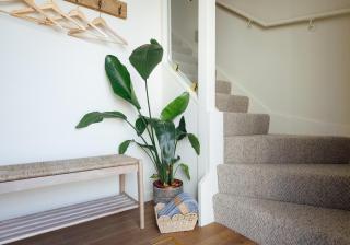 Seren - Cardigan - 1