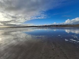 Tom's Alpaca Cottage - 8