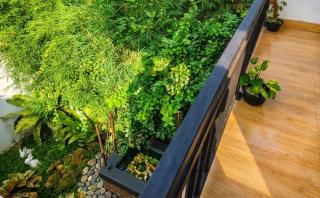 Sandila Surf and Stay - Hiriketiya - 5