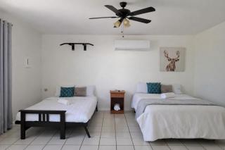 Dorado Costa De Oro Beach 2 Bedroom Oceanfront by Rentalspr - 5