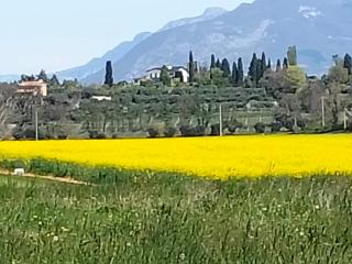 La Meridiana - 7